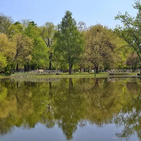 In A Historical Building In Debar Maalo *